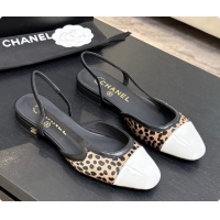 Most Popular Chanel ...