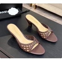 Pretty Style Chanel Weave Leather Mules CH0727108 Brown 2026