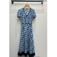 Good Looking Miu Miu Printed Silk Dress MM042001 Blue 2026