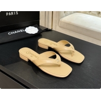 Sumptuous Chanel Lam...