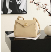 Reasonable Price Chanel Calfskin Shoulder Bag AS6223 CH082411 Beige 2026