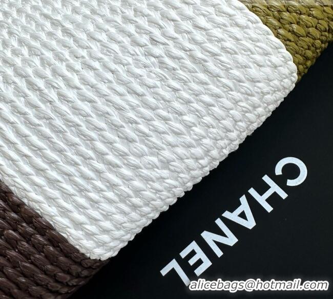 Best Price Discount Chanel Raffia & Calfskin Maxi Tote AS6148 2026