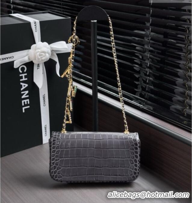 Most Popular Chanel Crocodile Embossed Calfskin Flap Bag AS6340 Grey 2026