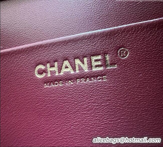 Grade Design Chanel Crocodile Embossed Calfskin Flap Bag With Top Handle AS6425 Burgundy 2026