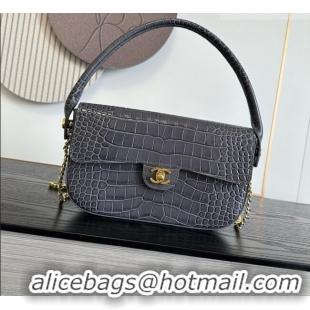 Traditional Specials Chanel Crocodile Embossed Calfskin Flap Bag With Top Handle AS6425 Grey 2026