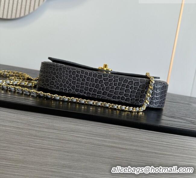 Traditional Specials Chanel Crocodile Embossed Calfskin Flap Bag With Top Handle AS6425 Grey 2026