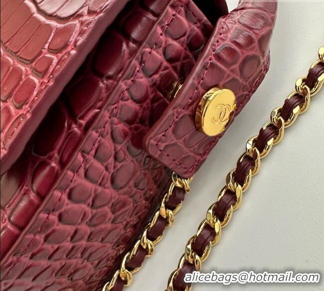Market Sells Chanel Crocodile Embossed Calfskin Mini Flap Bag With Top Handle AS6424 Burgundy 2026