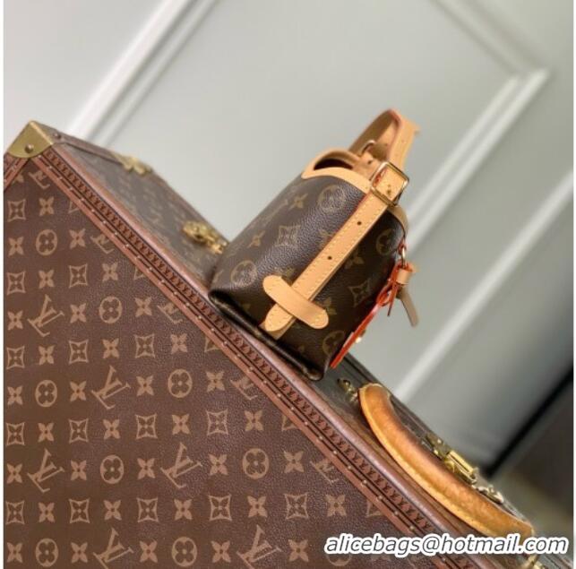 Top Grade Louis Vuitton Nano CarryAll Bag in Monogram Canvas M2A711 2026