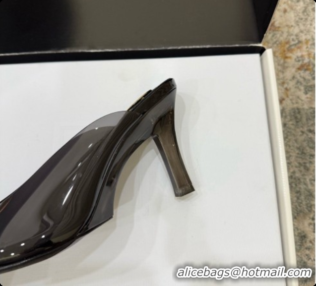 Pretty Style Saint Laurent SABRINA TPU Mules 8.5cm Heel  6073151 Black 2026