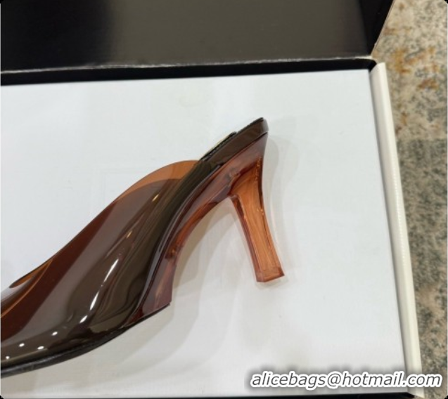 Top Grade Saint Laurent SABRINA TPU Mules 8.5cm Heel 6073151 Brown 2026