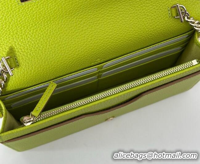 Top Quality Gucci Bi-color GG Marmont wallet on chain in Leather 497985 Beige/Light Green 2026