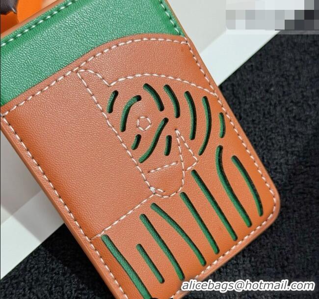 Top Design Hermes MagSafe Card Holder 0317 Zebra/Brown/Green 2026