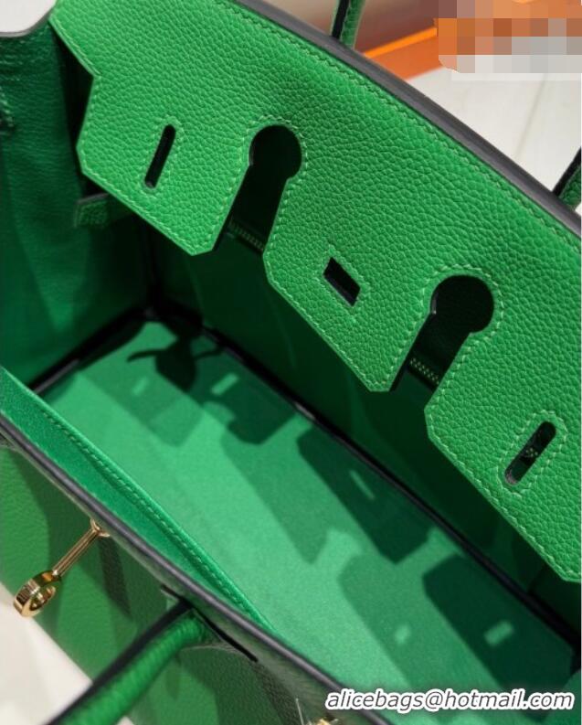 Best Price Hermes Birkin Bag 25cm in Togo Leather 0414 1K Bamboo Green 2026