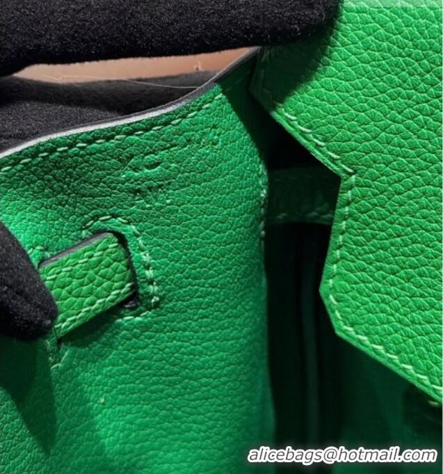 Best Price Hermes Birkin Bag 25cm in Togo Leather 0414 1K Bamboo Green 2026