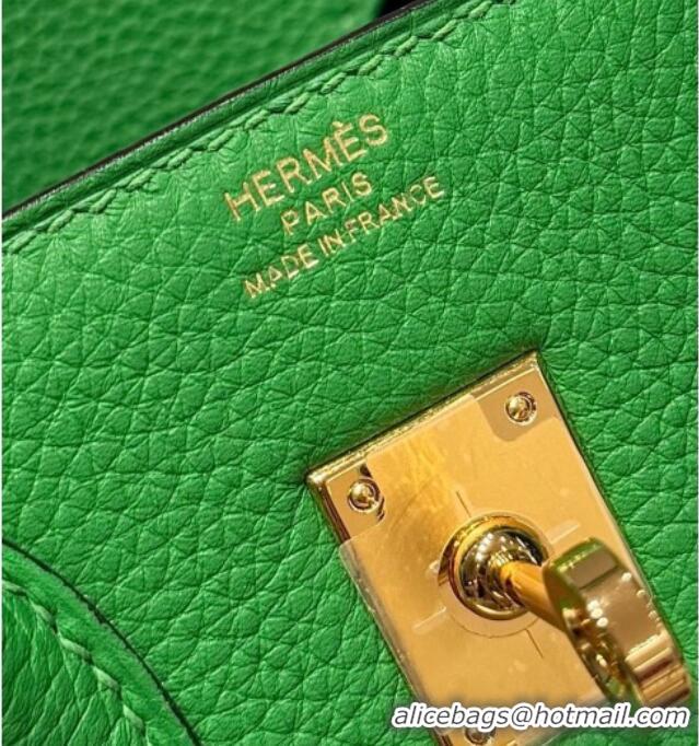 Best Price Hermes Birkin Bag 25cm in Togo Leather 0414 1K Bamboo Green 2026