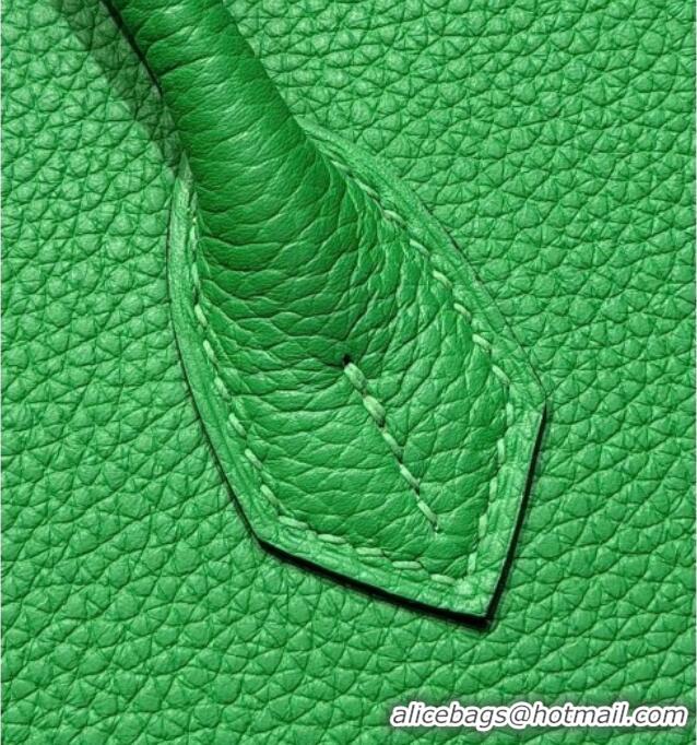 Best Price Hermes Birkin Bag 25cm in Togo Leather 0414 1K Bamboo Green 2026
