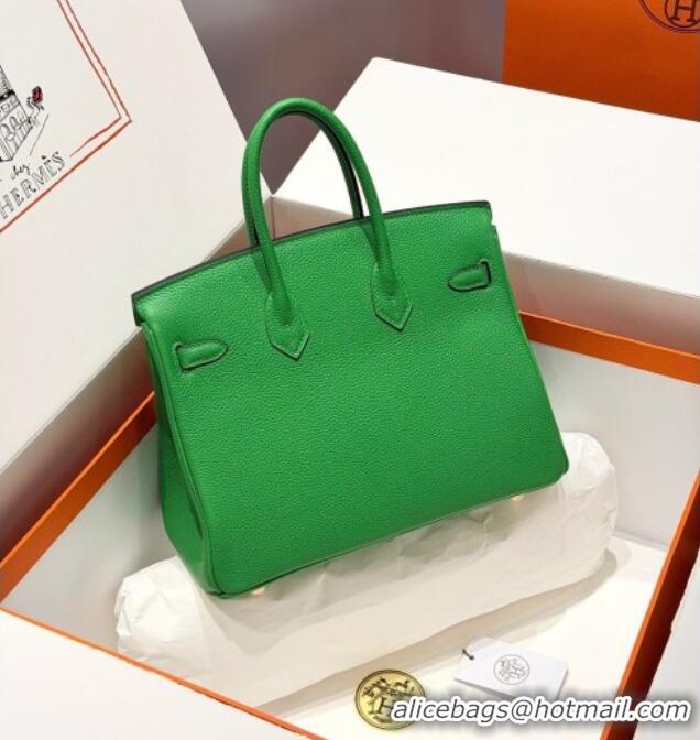 Best Price Hermes Birkin Bag 25cm in Togo Leather 0414 1K Bamboo Green 2026