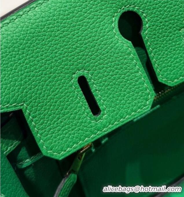 Best Price Hermes Birkin Bag 25cm in Togo Leather 0414 1K Bamboo Green 2026