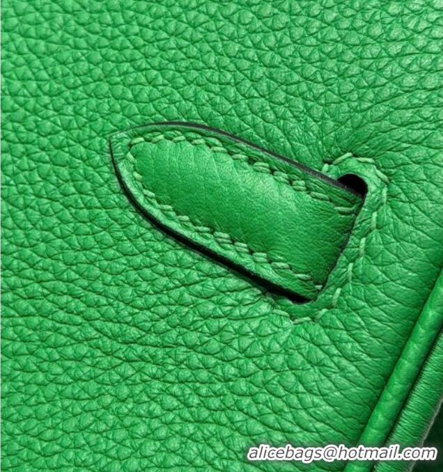 Best Price Hermes Birkin Bag 25cm in Togo Leather 0414 1K Bamboo Green 2026