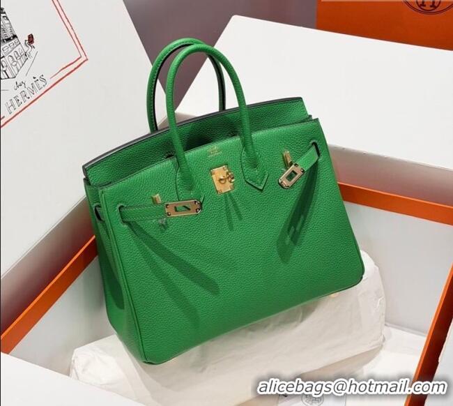 Best Price Hermes Birkin Bag 25cm in Togo Leather 0414 1K Bamboo Green 2026