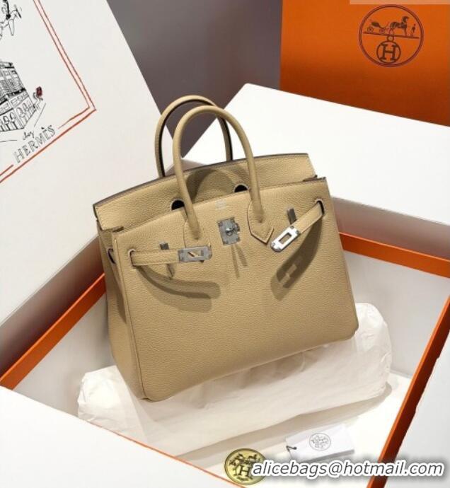 Good Discount Hermes Birkin Bag 25cm in Togo Leather 0414 S2 Trench Grey 2026