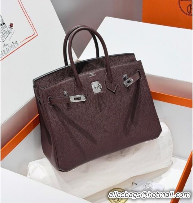 Classic Specials Hermes Birkin Bag 25cm in Togo Leather 0414 46 Ebene 2026