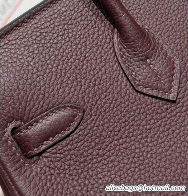 Classic Specials Hermes Birkin Bag 25cm in Togo Leather 0414 46 Ebene 2026
