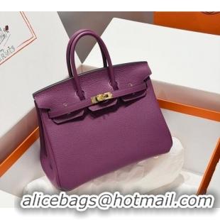 Hot Style Hermes Birkin Bag 25cm in Togo Leather 0414 P9 Anemone Purple 2026
