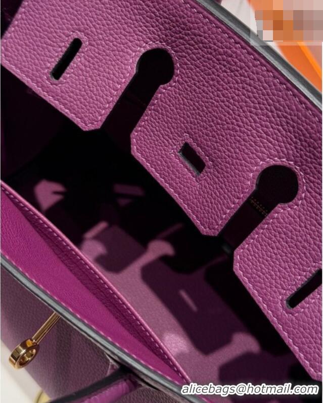 Hot Style Hermes Birkin Bag 25cm in Togo Leather 0414 P9 Anemone Purple 2026