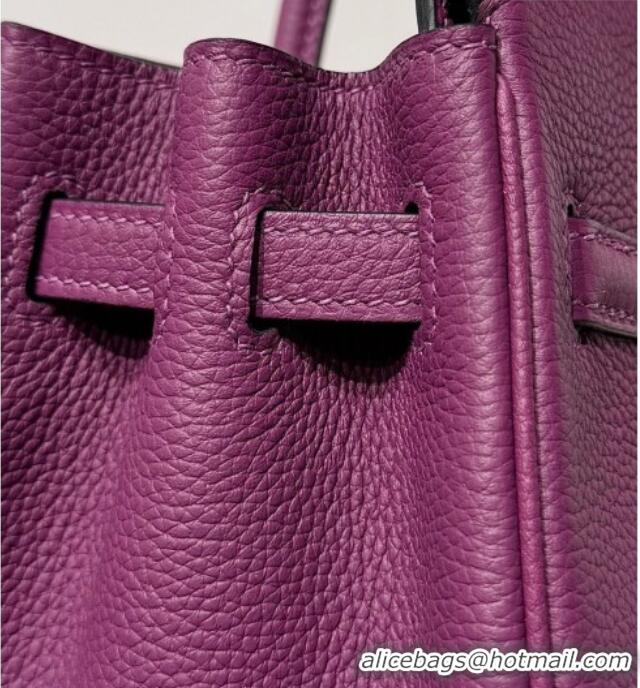 Hot Style Hermes Birkin Bag 25cm in Togo Leather 0414 P9 Anemone Purple 2026