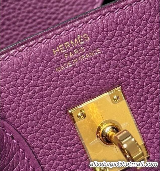 Hot Style Hermes Birkin Bag 25cm in Togo Leather 0414 P9 Anemone Purple 2026