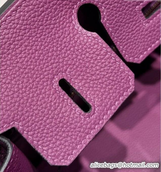 Hot Style Hermes Birkin Bag 25cm in Togo Leather 0414 P9 Anemone Purple 2026