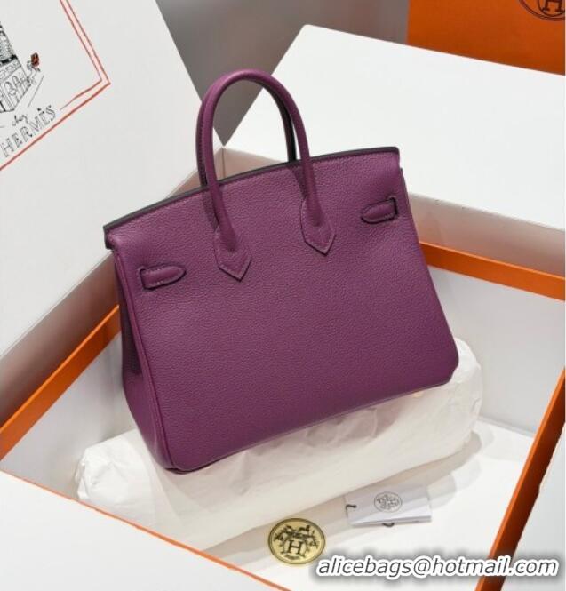 Hot Style Hermes Birkin Bag 25cm in Togo Leather 0414 P9 Anemone Purple 2026