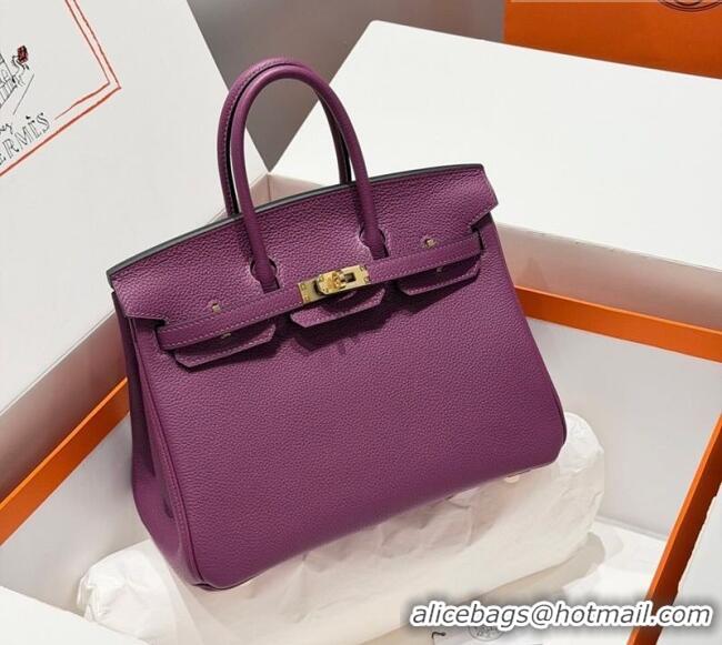 Hot Style Hermes Birkin Bag 25cm in Togo Leather 0414 P9 Anemone Purple 2026