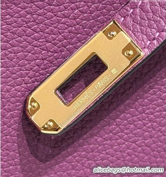 Hot Style Hermes Birkin Bag 25cm in Togo Leather 0414 P9 Anemone Purple 2026