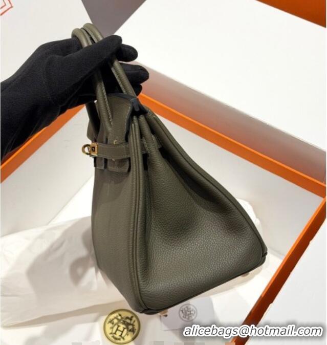 Most Popular Hermes Birkin Bag 25cm in Togo Leather 0414 6H Veronese Green 2026