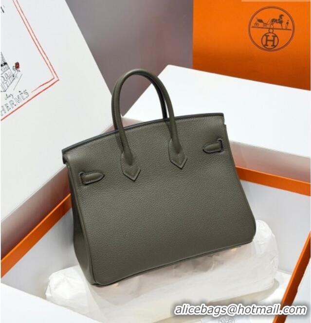 Most Popular Hermes Birkin Bag 25cm in Togo Leather 0414 6H Veronese Green 2026