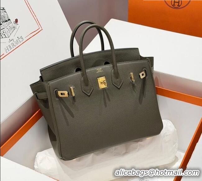 Most Popular Hermes Birkin Bag 25cm in Togo Leather 0414 6H Veronese Green 2026