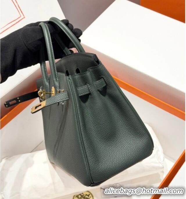 Grade Design Hermes Birkin Bag 25cm in Togo Leather 0414 6O Vert Cypres Green 2026