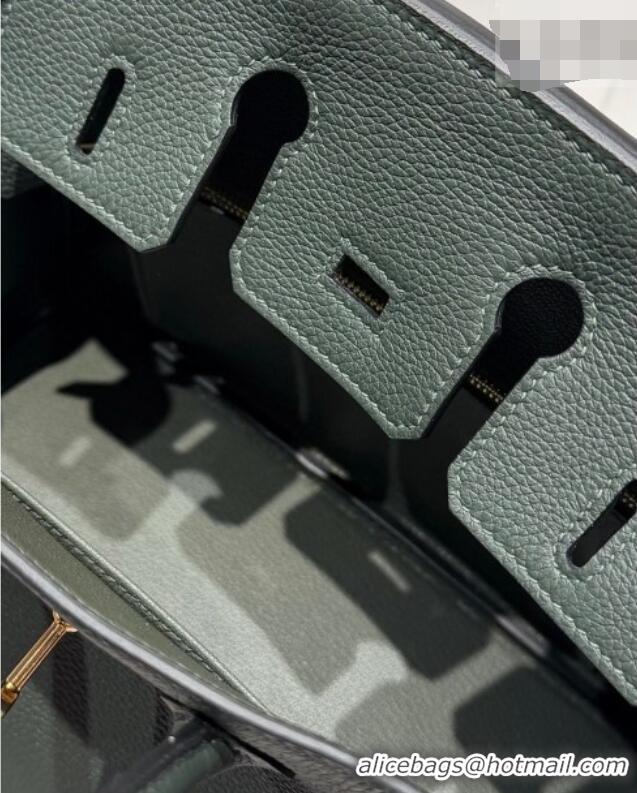Grade Design Hermes Birkin Bag 25cm in Togo Leather 0414 6O Vert Cypres Green 2026