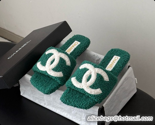Good Quality Chanel Fluffy Flat Slide Sandals CH091015 Green 2026