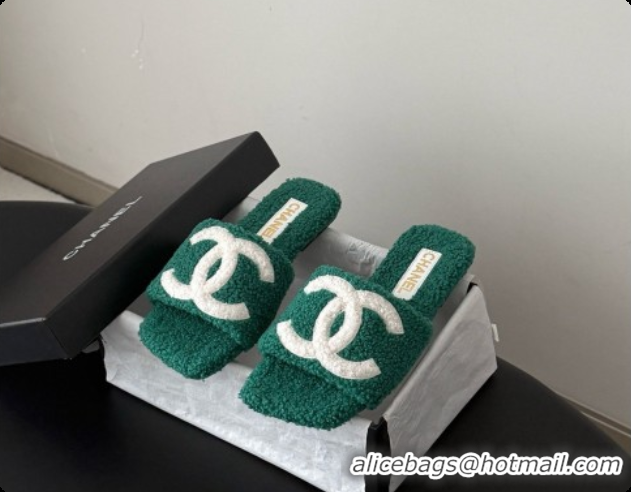 Good Quality Chanel Fluffy Flat Slide Sandals CH091015 Green 2026