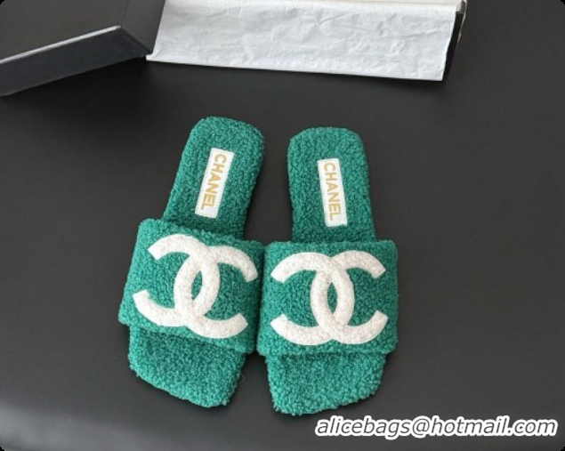 Good Quality Chanel Fluffy Flat Slide Sandals CH091015 Green 2026