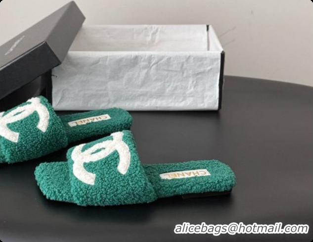 Good Quality Chanel Fluffy Flat Slide Sandals CH091015 Green 2026