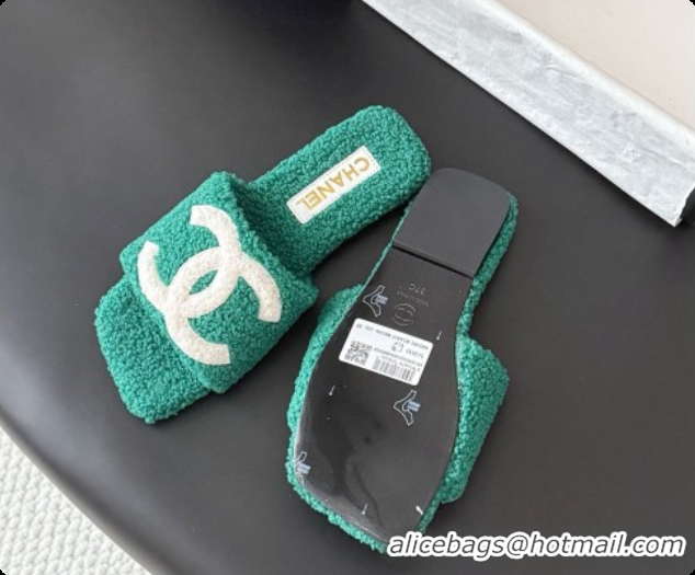 Good Quality Chanel Fluffy Flat Slide Sandals CH091015 Green 2026