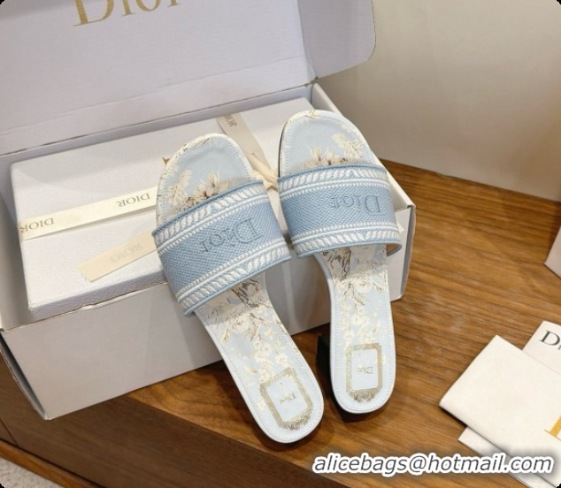 Expensive Dior Dway Heeled Slide in Blue Embroidered Cotton D080309 2026