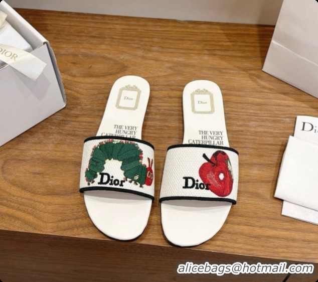 Best Price Dior Flat Dway Slide in Apple Embroidered Cotton D080316 2026