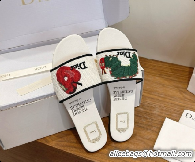 Best Price Dior Flat Dway Slide in Apple Embroidered Cotton D080316 2026