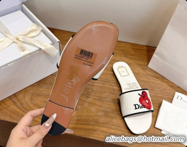 Best Price Dior Flat Dway Slide in Apple Embroidered Cotton D080316 2026