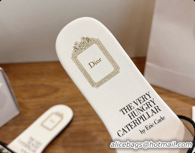 Best Price Dior Flat Dway Slide in Apple Embroidered Cotton D080316 2026